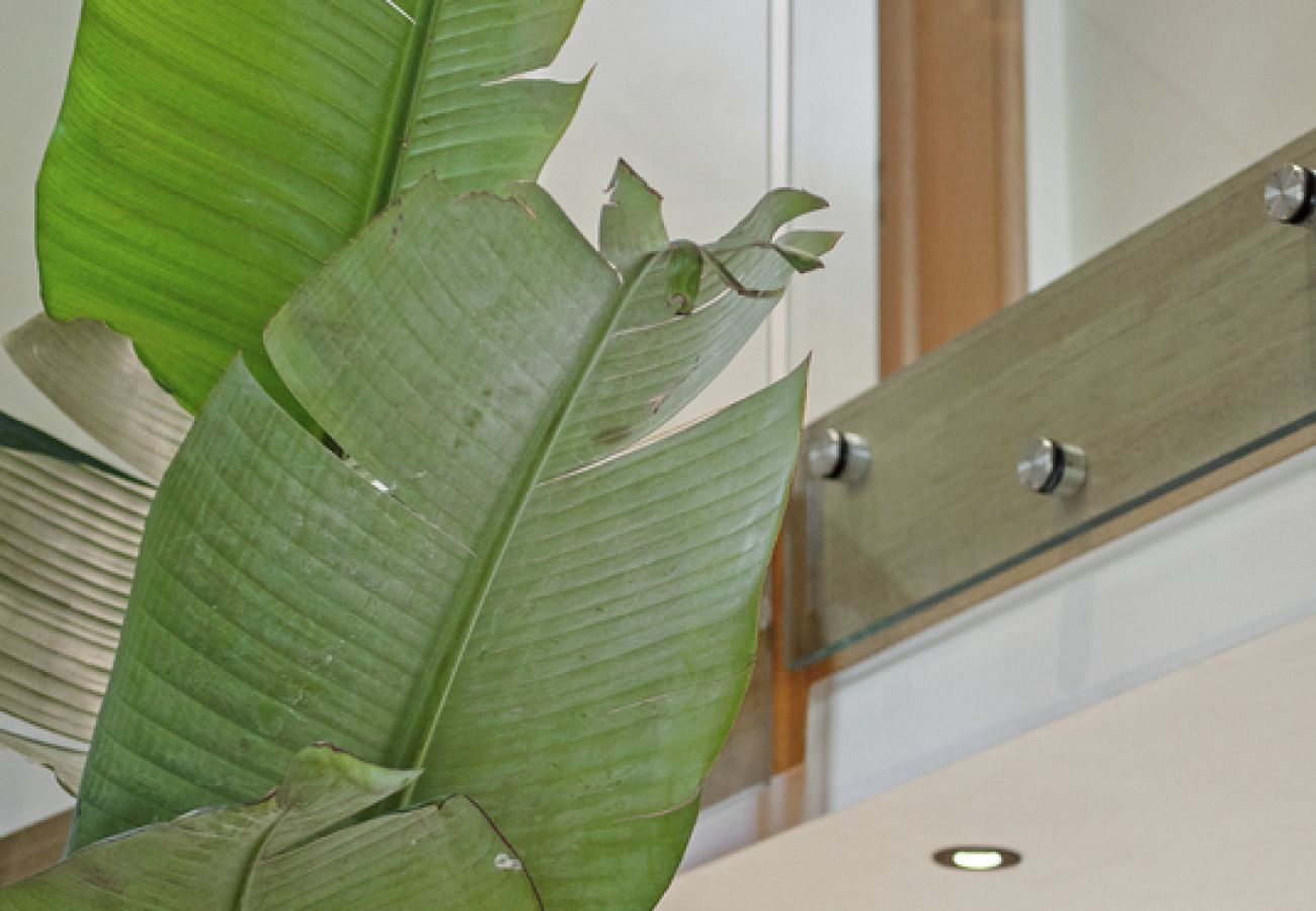 Villa in Ramatuelle - Villa La Ferme Ramatuelle avec piscine