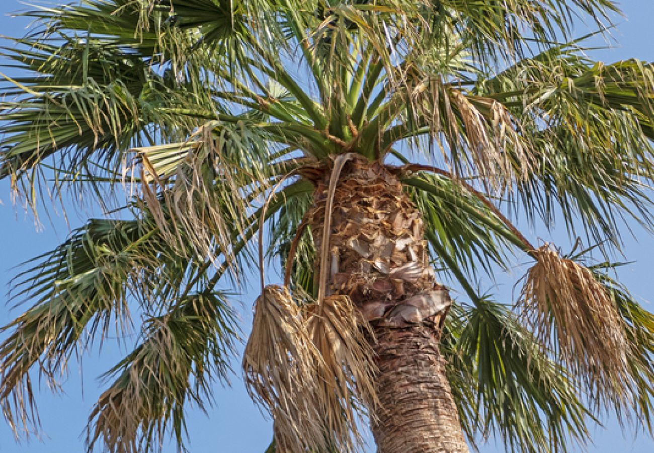 Villa in Ramatuelle - Villa La Ferme Ramatuelle avec piscine