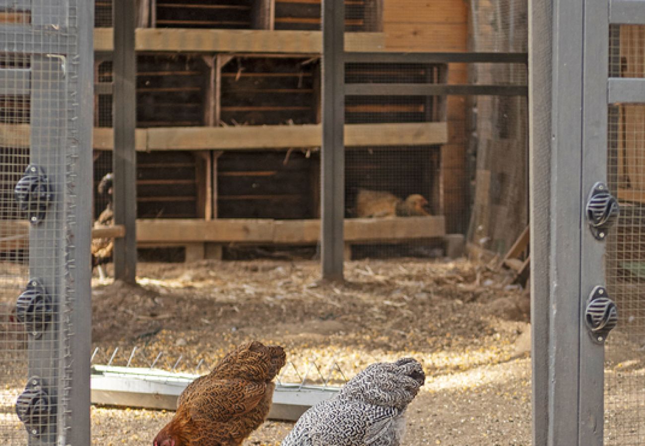 Villa in Ramatuelle - Villa La Ferme Ramatuelle avec piscine