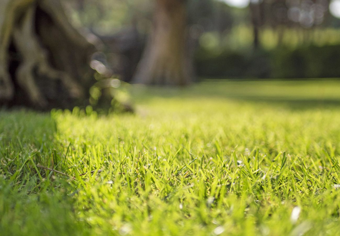 Villa in Ramatuelle - Villa La Ferme Ramatuelle avec piscine