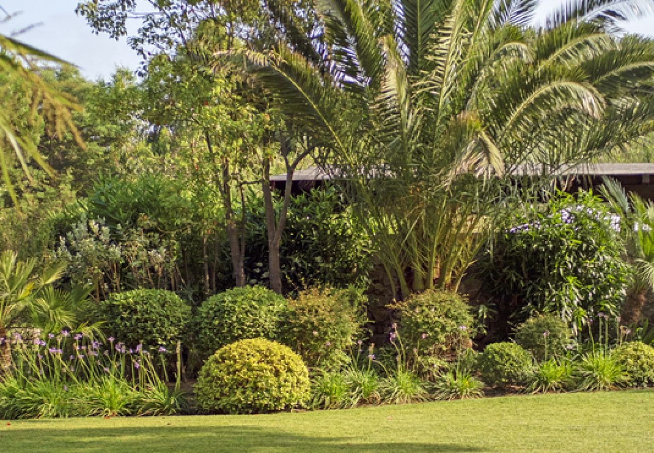 Villa in Ramatuelle - Villa La Ferme Ramatuelle avec piscine