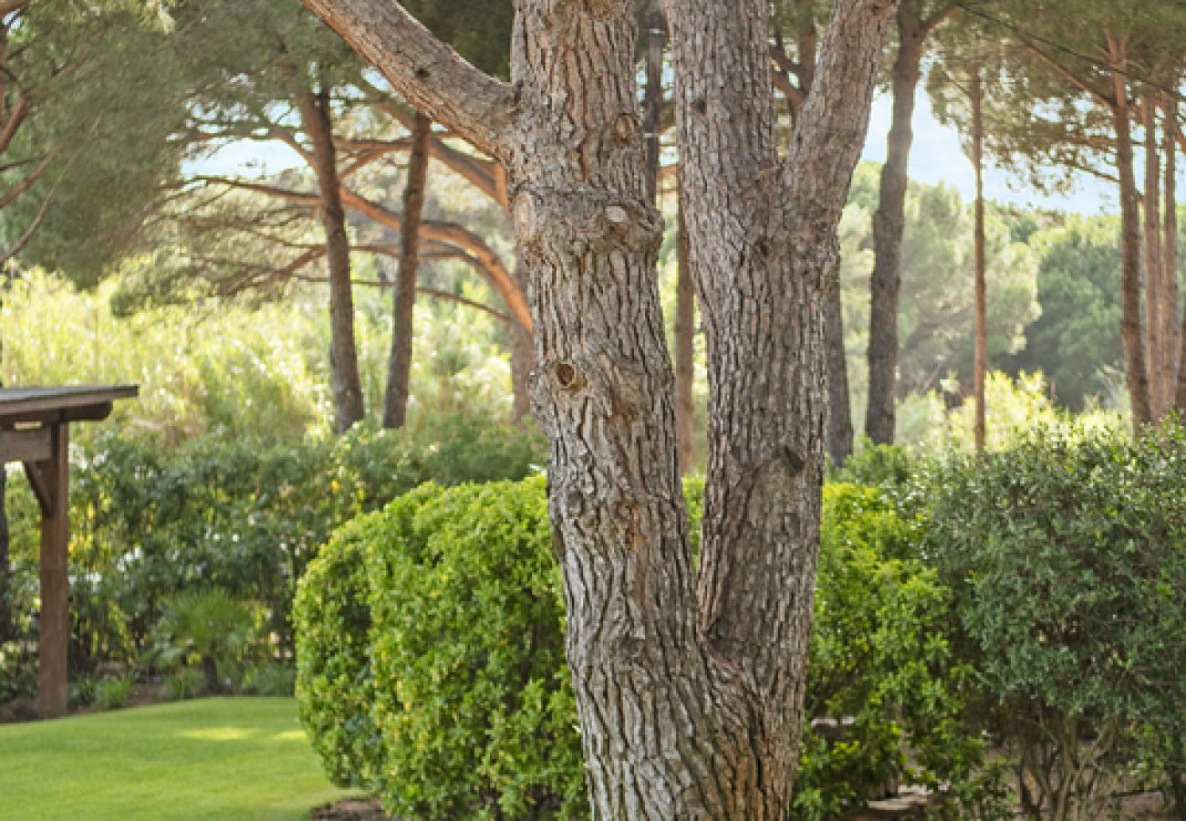 Villa in Ramatuelle - Villa La Ferme Ramatuelle avec piscine