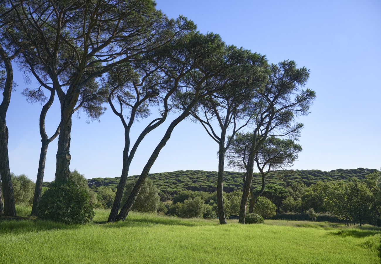 Villa à Ramatuelle - Villa Paradis Ramatuelle