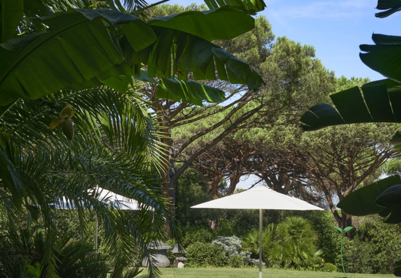 Villa à Saint-Tropez - Villa Les Pins D'OR - Les Parcs avec piscine