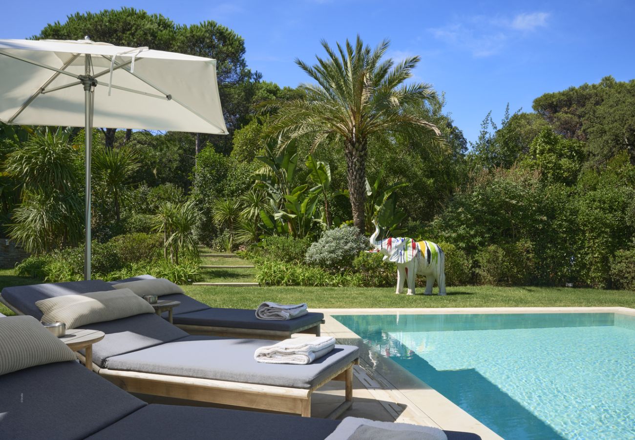 Villa à Saint-Tropez - Villa Les Pins D'OR - Les Parcs avec piscine