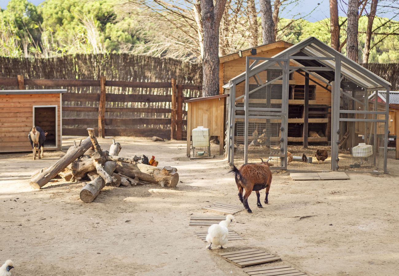 Villa à Ramatuelle - Villa La Ferme Ramatuelle avec piscine