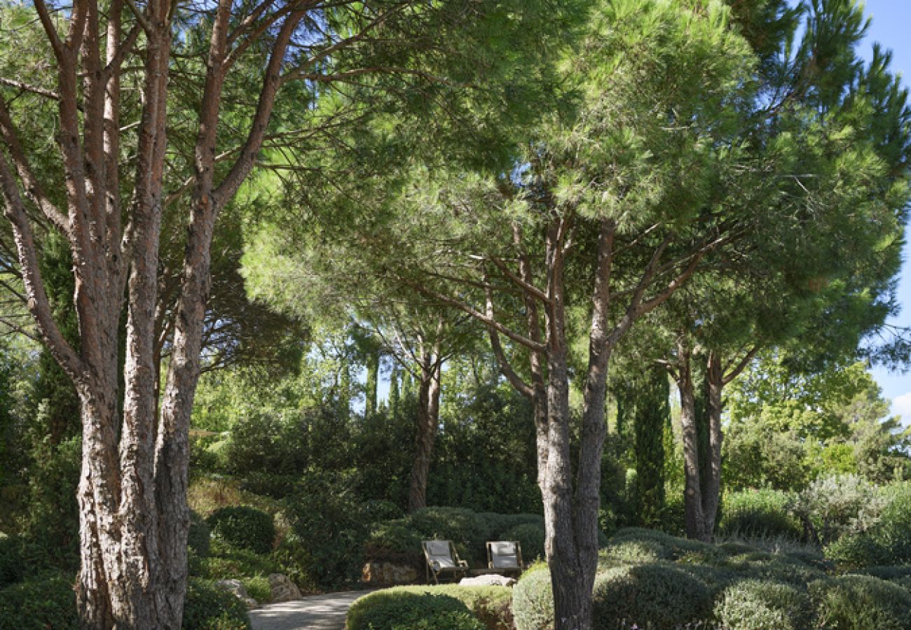 Villa à Tourrettes - VILLA TERRE CLAIRE